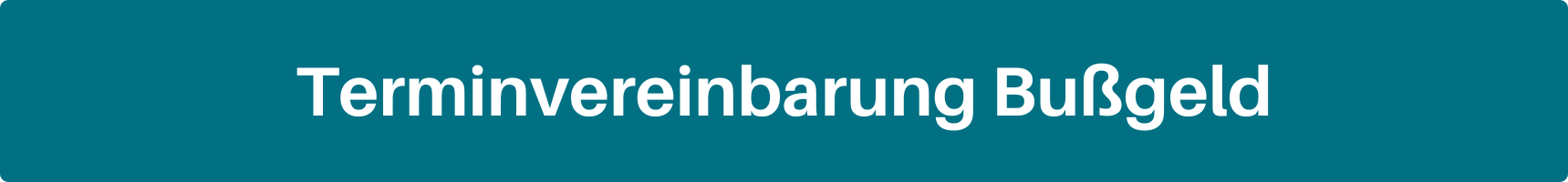 Vor blauem Hintergrund steht "Terminvereinbarung Bußgeld". Link zur Terminvereinbarung Bußgeld.