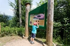 Sinnesweg im Naturerlebnispark: ein Kind steht vor einer Tafel am Sinnesweg